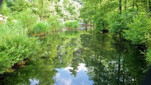 A serene pond surrounded by lush greenery, with a car parked in the background. - Bungalow in Netherlands with Private Sauna (Kootwijk)