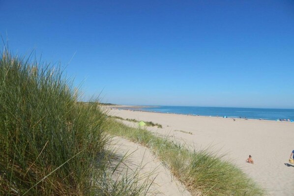 A beach with sand dunes and a clear blue sky.