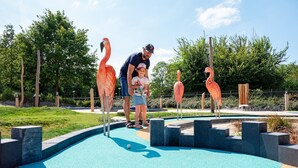 Un campo de mini golf con esculturas de flamencos y superficie de juego azul.