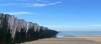 Luxury Villa near Noordzee with Sauna