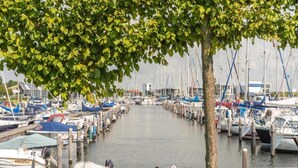 Ein Yachthafen mit vertäuten Booten am Wasser, ein Baum im Vordergrund und ein gepflasterter Weg.