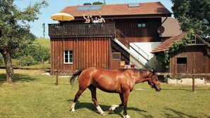 A wooden building with a balcony, a horse in front, and a grassy area.