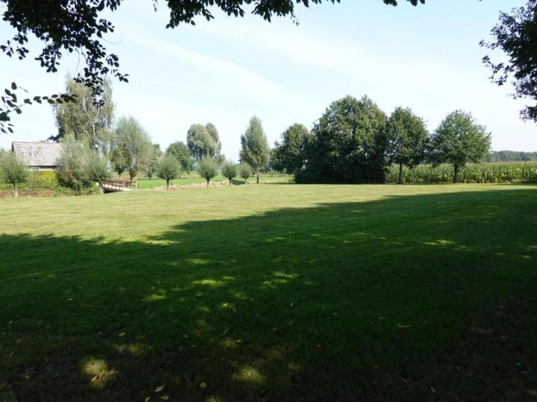 A grassy field with trees and a building in the background.