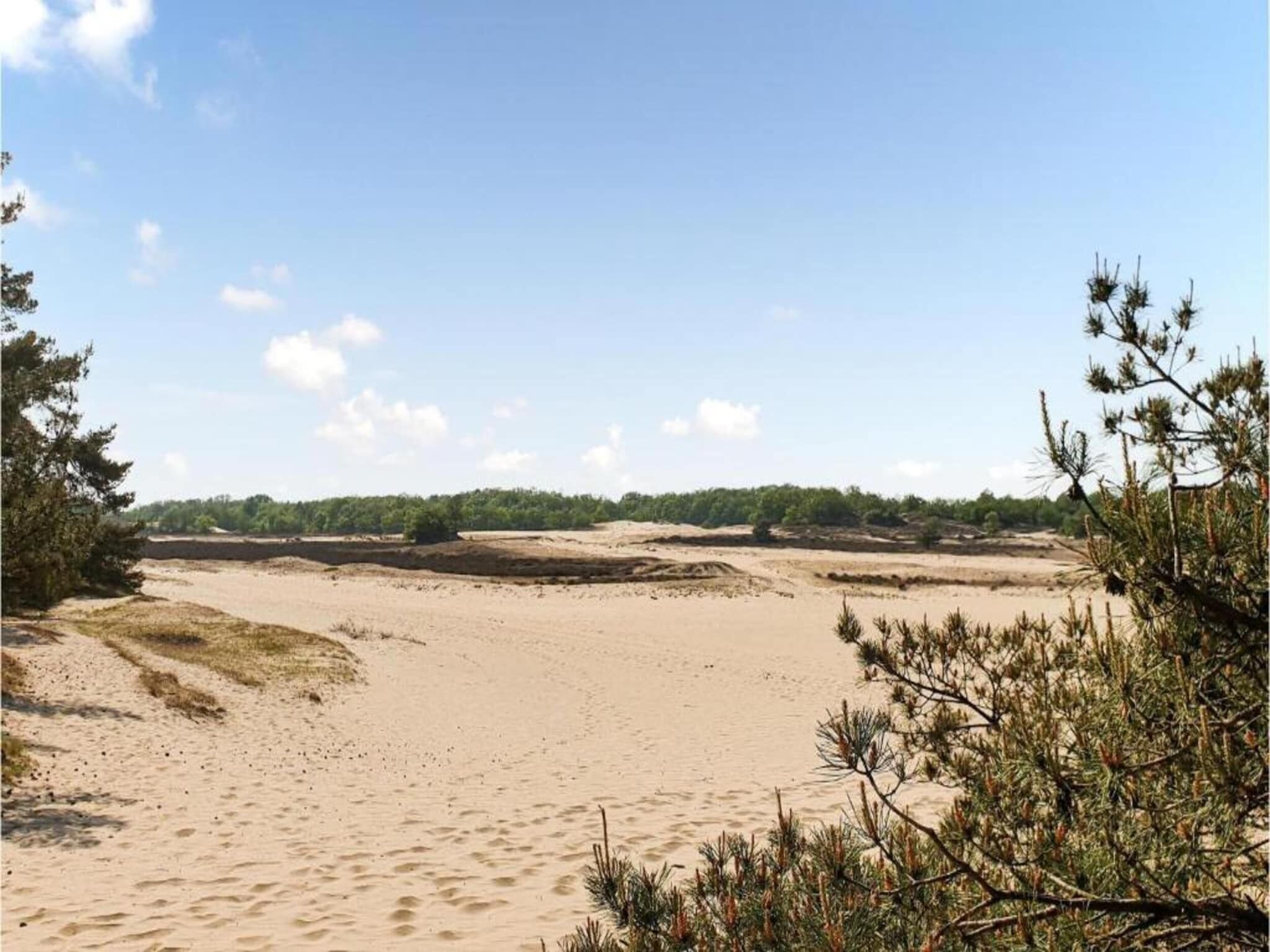 Une plage de sable avec une végétation clairsemée et un ciel dégagé.
