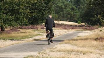 Eine Person fährt Fahrrad auf einem asphaltierten Weg, umgeben von Bäumen und trockenem Gras.