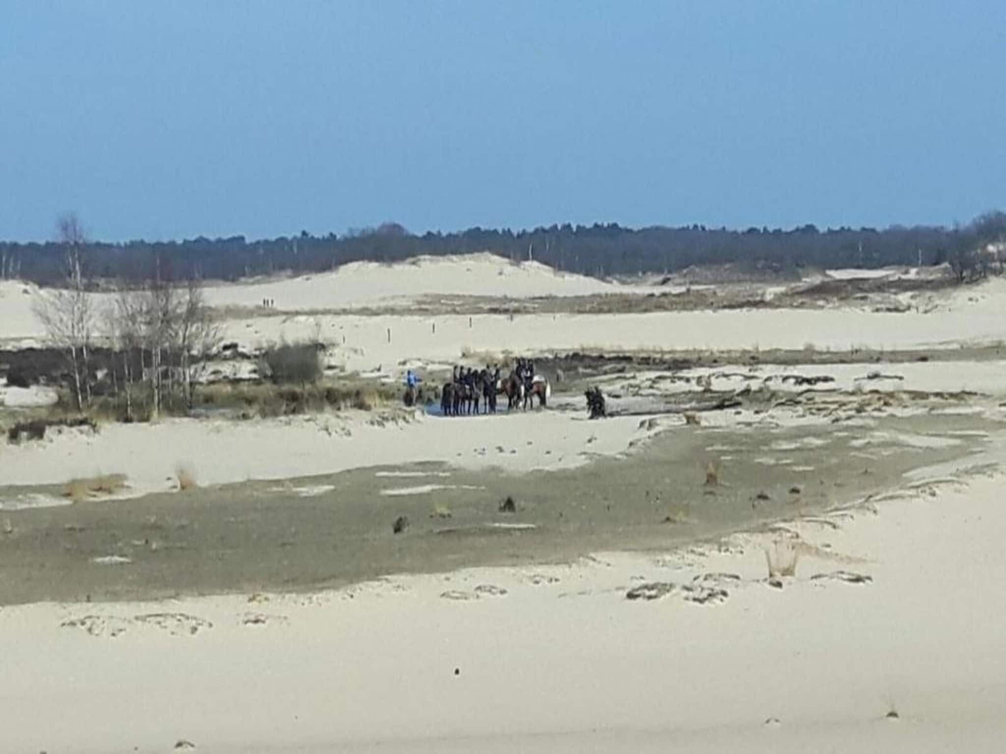 Un groupe de personnes s’est rassemblé dans un espace extérieur enneigé, où la végétation était rare et où l’on apercevait des arbres au loin.