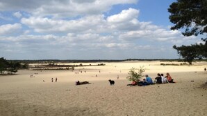 A wide sandy beach with people and a few trees. - Chalet near Loonse and Drunense Duinen (Udenhout)