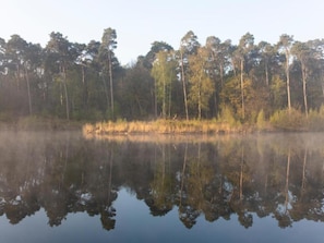 A calm lake with reflections of trees and a clear sky. - Family Home w/ Trampoline (Haaren)