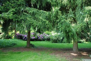 Property grounds - Villa in Klein Vink with Private Garden (Arcen)