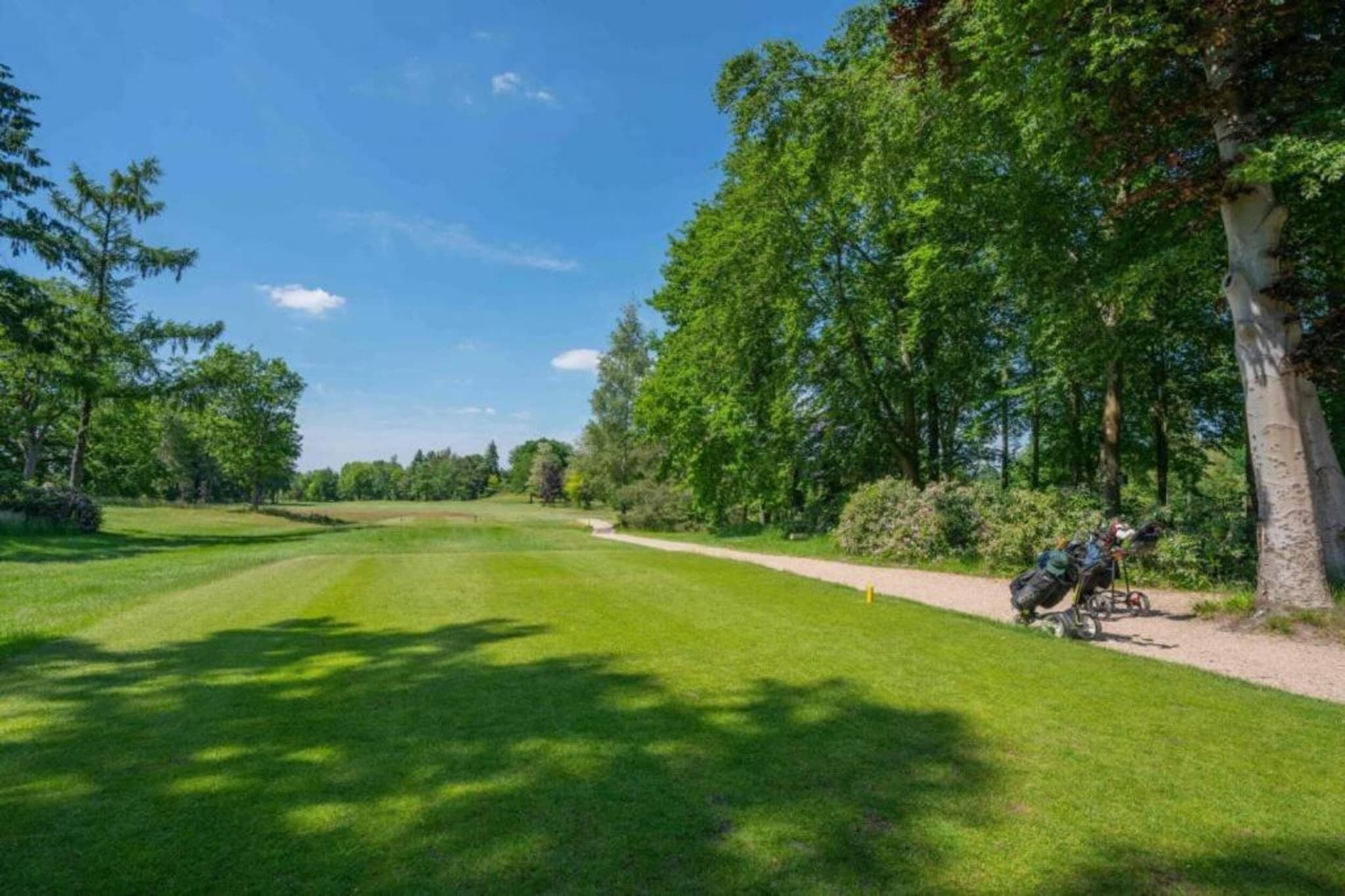 Ein Golfplatz mit freier Bahn, Bäumen und einer Person im Golfwagen.