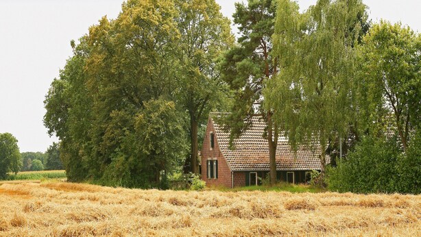 A rustic brick house surrounded by trees in a field of hay. - Farmhouse in Stramproy near Forest (Stramproy)