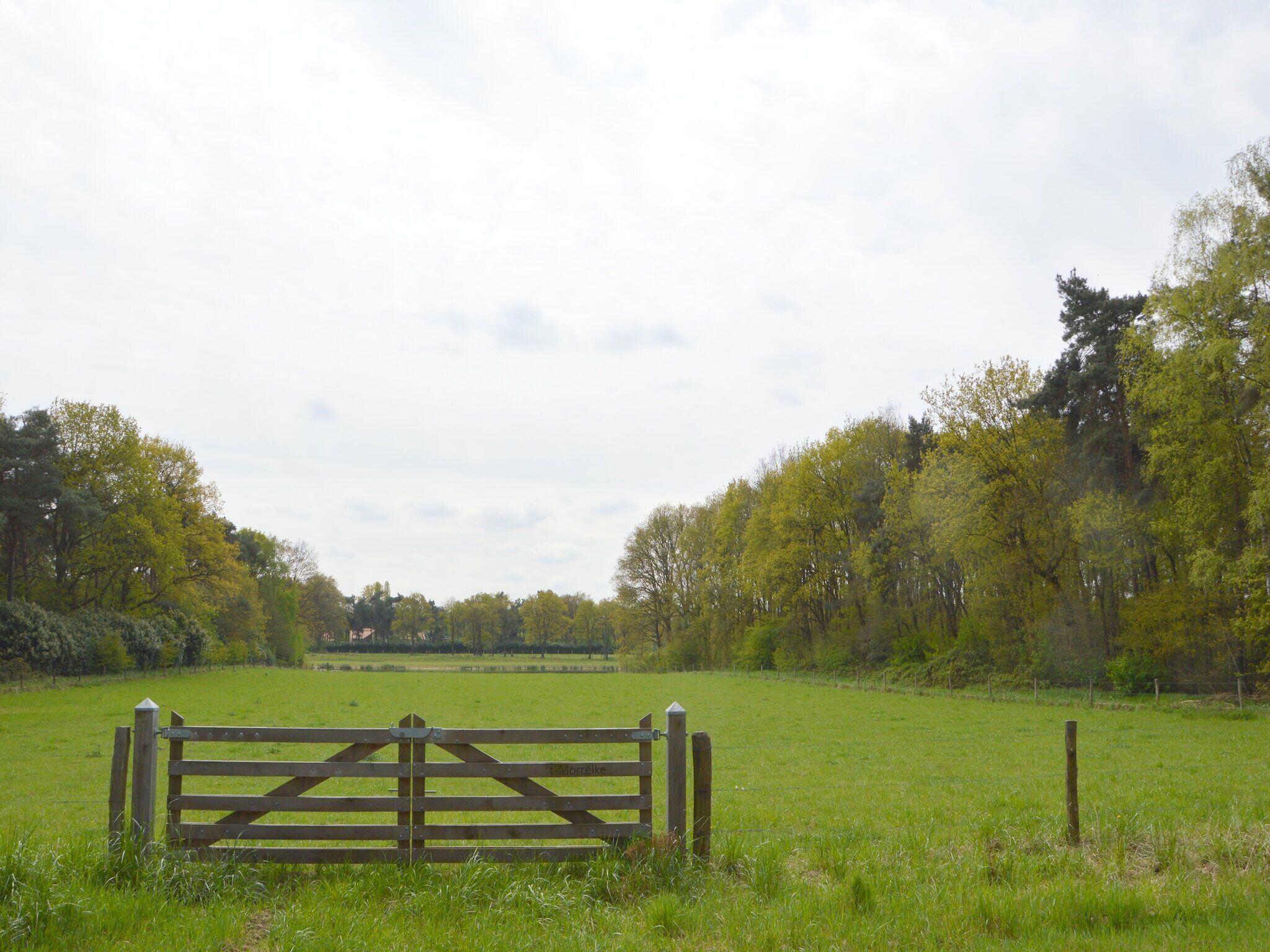 A rural landscape with a wooden gate in the foreground and a green field extending into the distance.