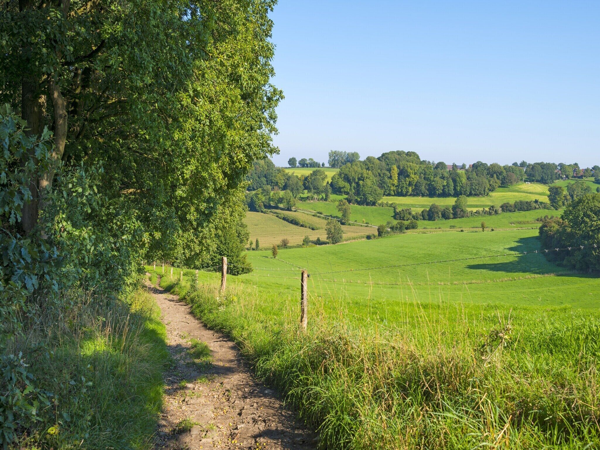 A rural path leading through a lush green landscape with rolling hills and a clear sky.