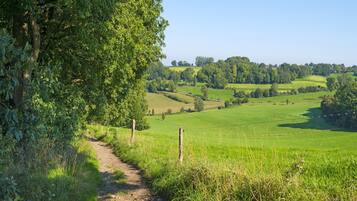 A rural path leading through a lush green landscape with rolling hills and a clear sky.