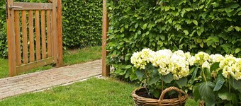 Farmstay with Garden Views