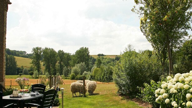 A patio with a table and chairs, a fenced area with sheep, and a garden with white flowers. - Farmhouse Wijlre near Scenic Lake (Wijlre)