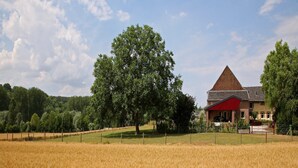 A rural landscape with a large field of golden wheat, a prominent tree, and a red-roofed building with a triangular roof. - Farmhouse Wijlre near Scenic Lake (Wijlre)