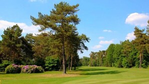 A golf course with a well-maintained green, sand bunkers, and a variety of trees.