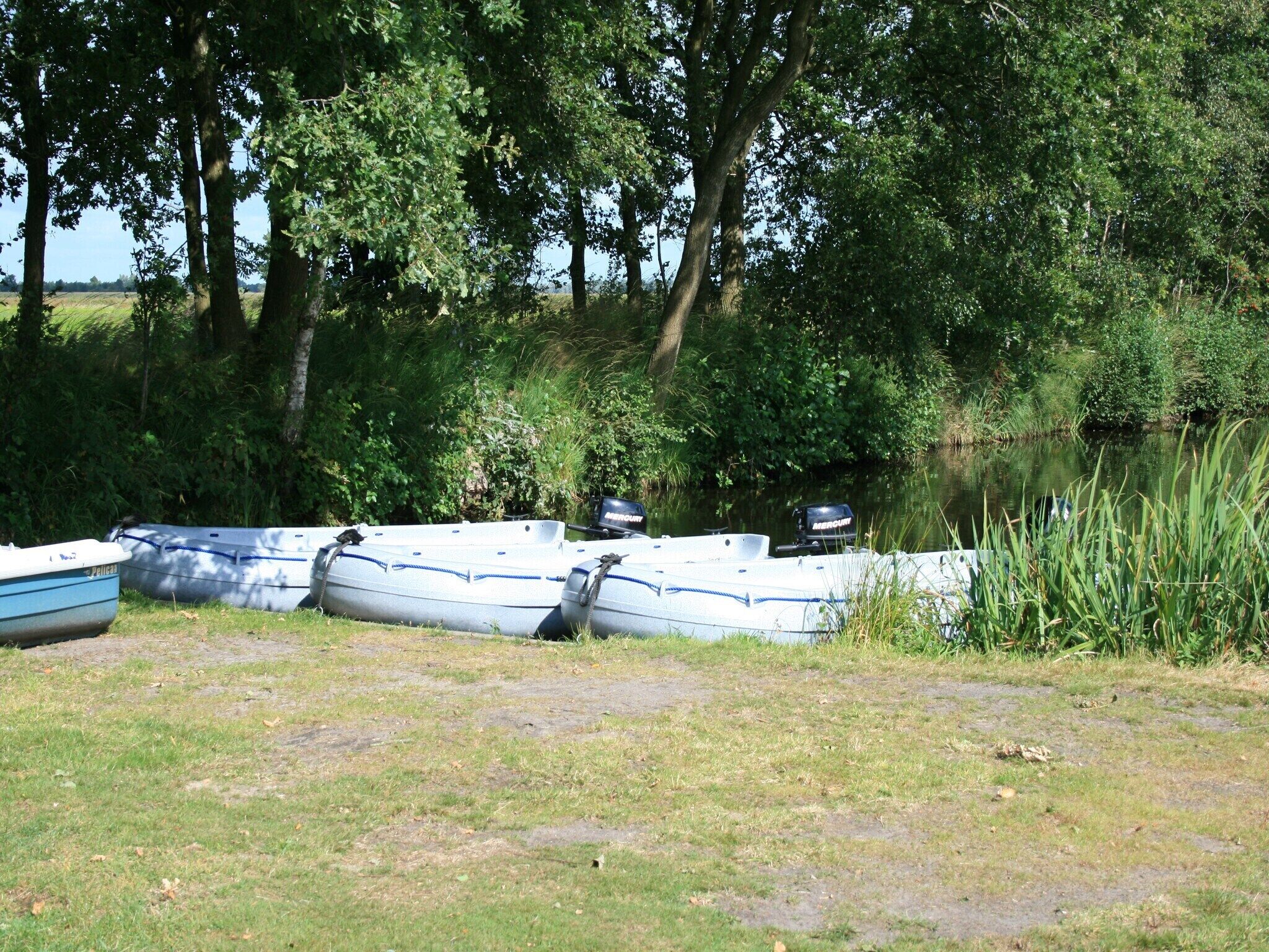 A grassy area with several boats tied up near a body of water, surrounded by trees.