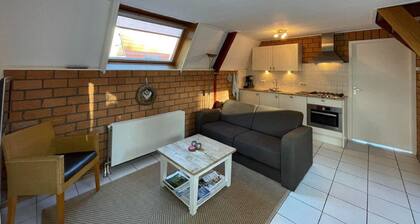 Holiday House in Friesland with Garden