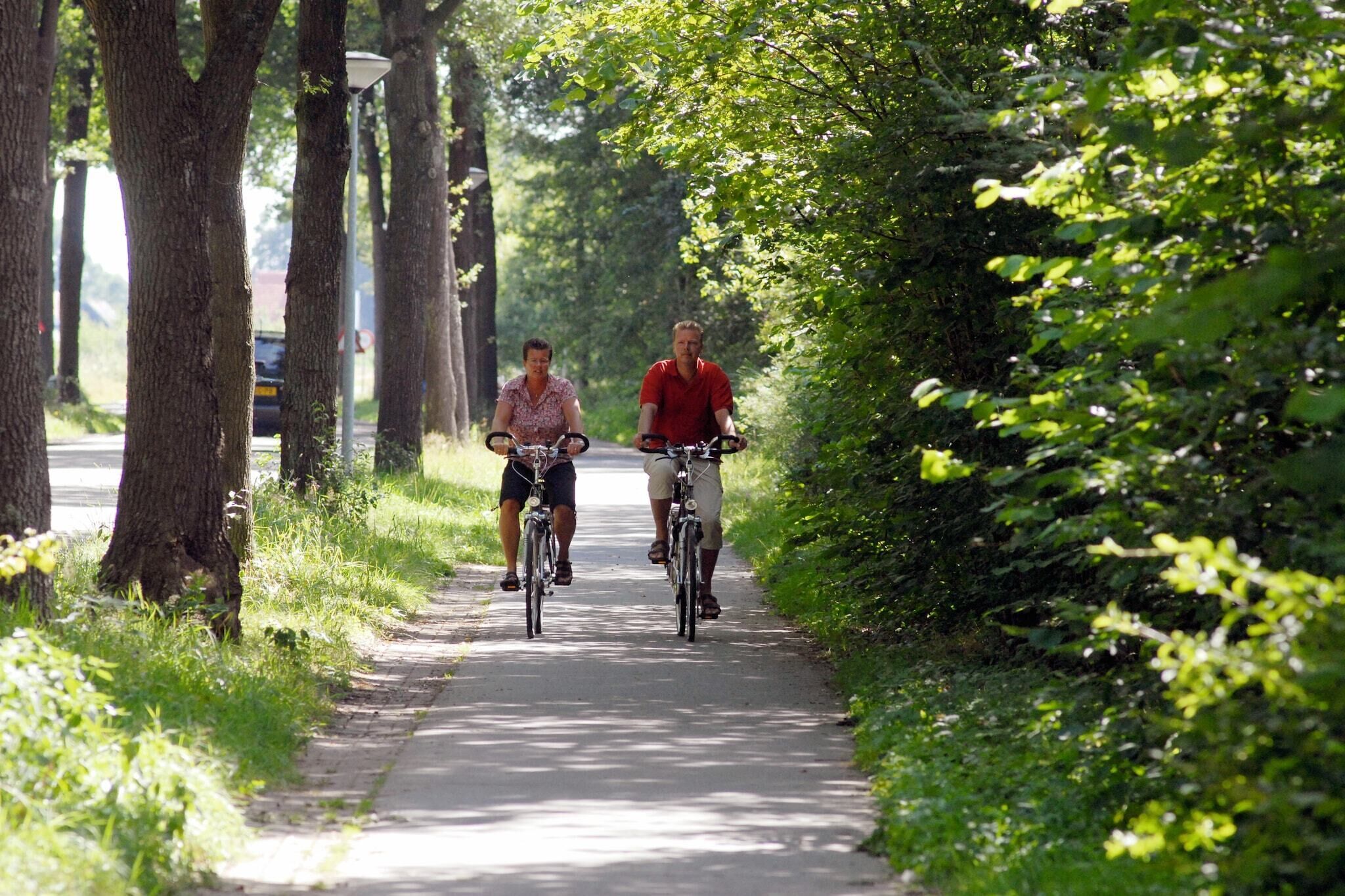 Two people riding bicycles on a tree-lined path.