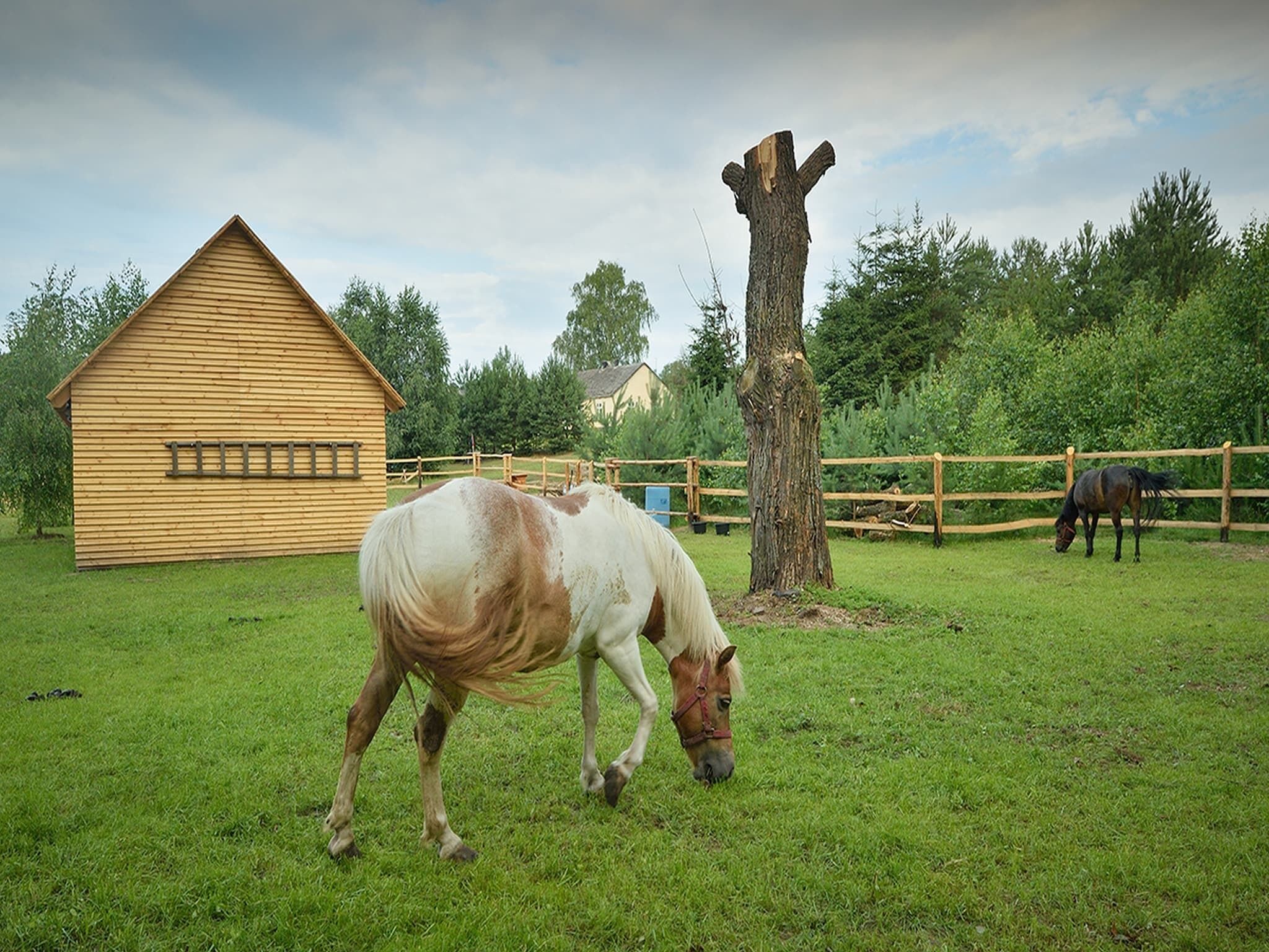 Un establo con una construcción de madera, un árbol y dos caballos pastando en un área cercada.