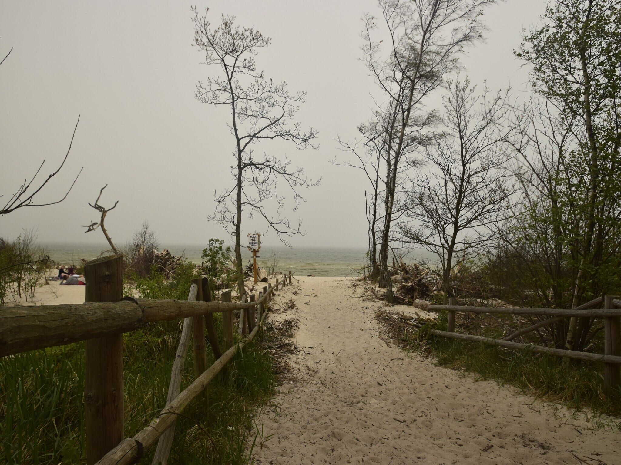 Un sentier sablonneux mène à une plage, bordée d’une clôture en bois d’un côté et d’arbres sans feuilles de l’autre.