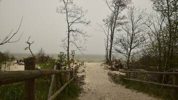 Un sentier sablonneux mène à une plage, bordée d’une clôture en bois d’un côté et d’arbres sans feuilles de l’autre.
