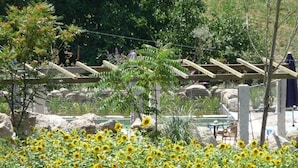 Um jardim com girassóis, uma pérgula e uma área cercada com pedras e plantas.