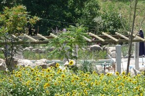 Property grounds - Holiday Home in Covas with Eco Pool (Covas)