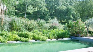 Piscina cercada por vegetação exuberante e diversas plantas.