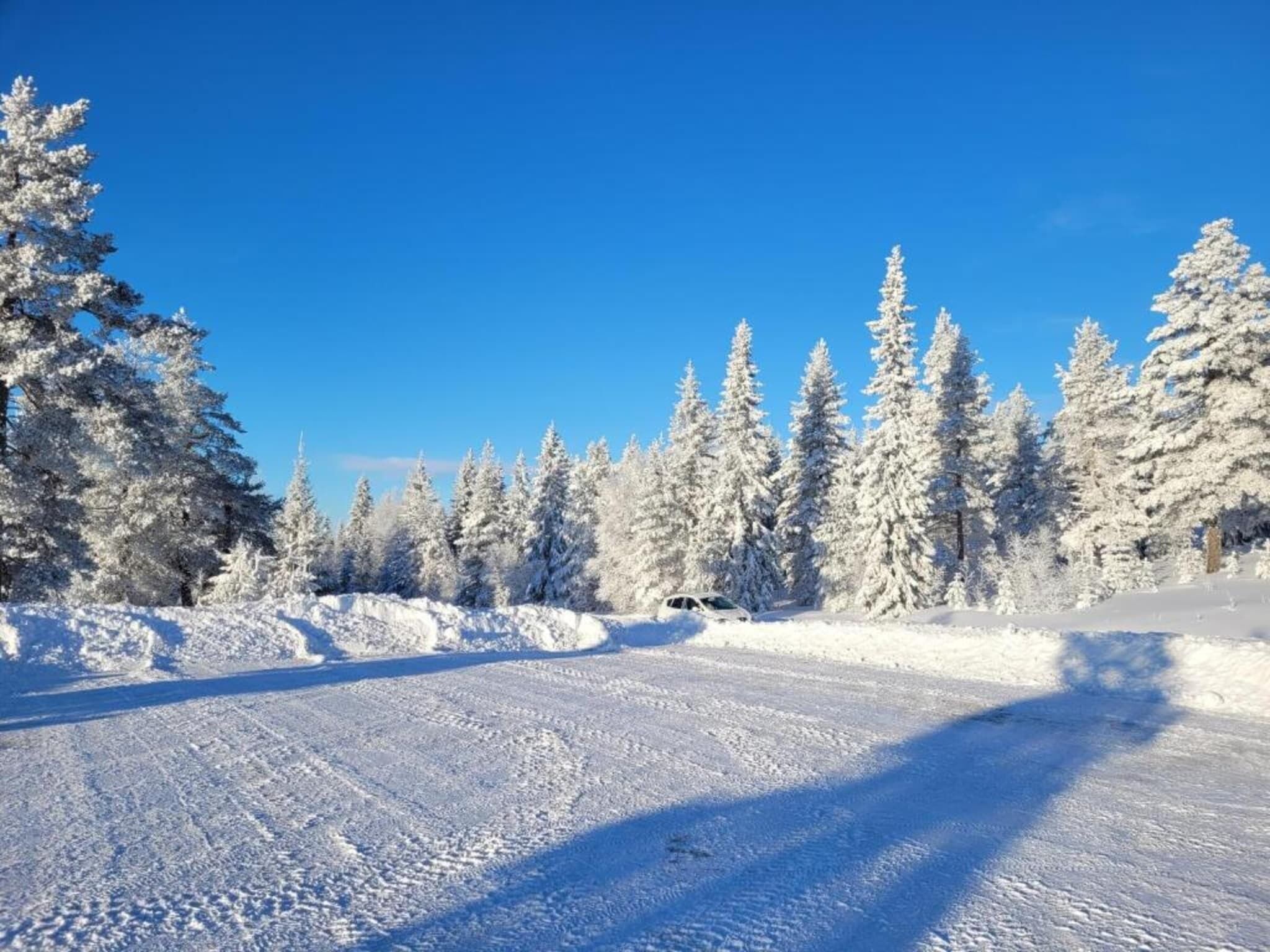 A snowy landscape with a clear blue sky, a road, and snow-covered trees.