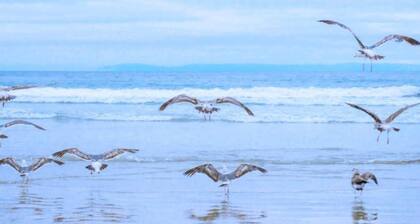 Comfortable Callantsoog Retreat