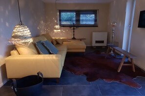 TV connectée, cheminée