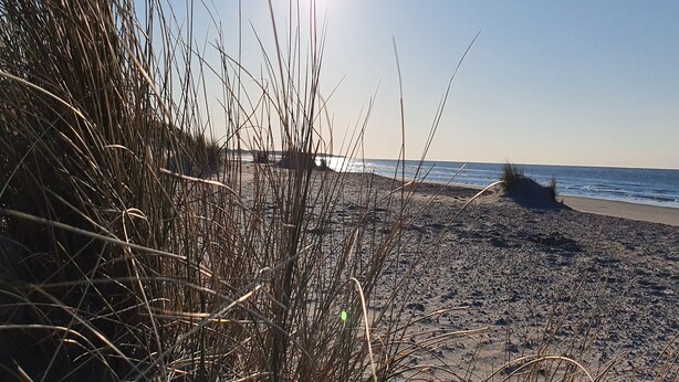A beach with tall grasses and a clear sky. - Apartment in Colijnsplaat near Lake and Sauna (Colijnsplaat)