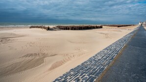 Une plage avec une promenade dallée et une jetée en bois.