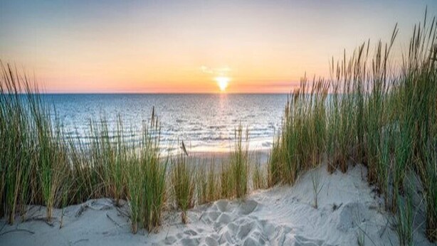 A beach with sand and grass in the foreground, leading to the ocean. - Bungalow in Veluwe near Harderwijk (Putten)