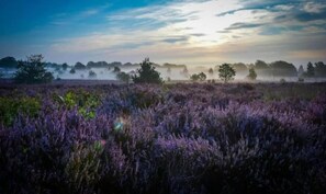 Miscellaneous - Rijssen Cottage Near Trails (Rijssen)