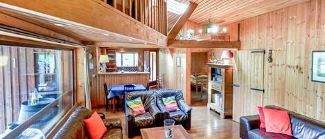 Télévision, cheminée, lecteur de DVD