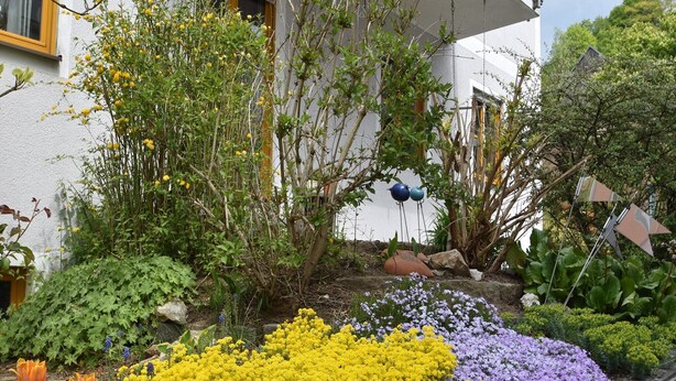 Un jardín con diversas plantas y flores, incluyendo flores amarillas y púrpuras, frente a un edificio blanco con una ventana y una puerta.