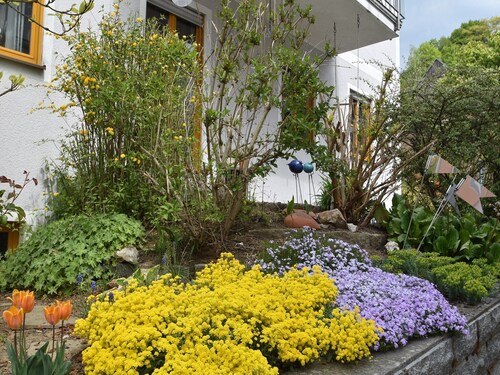 Apartment in Tannesberg mit Balkon