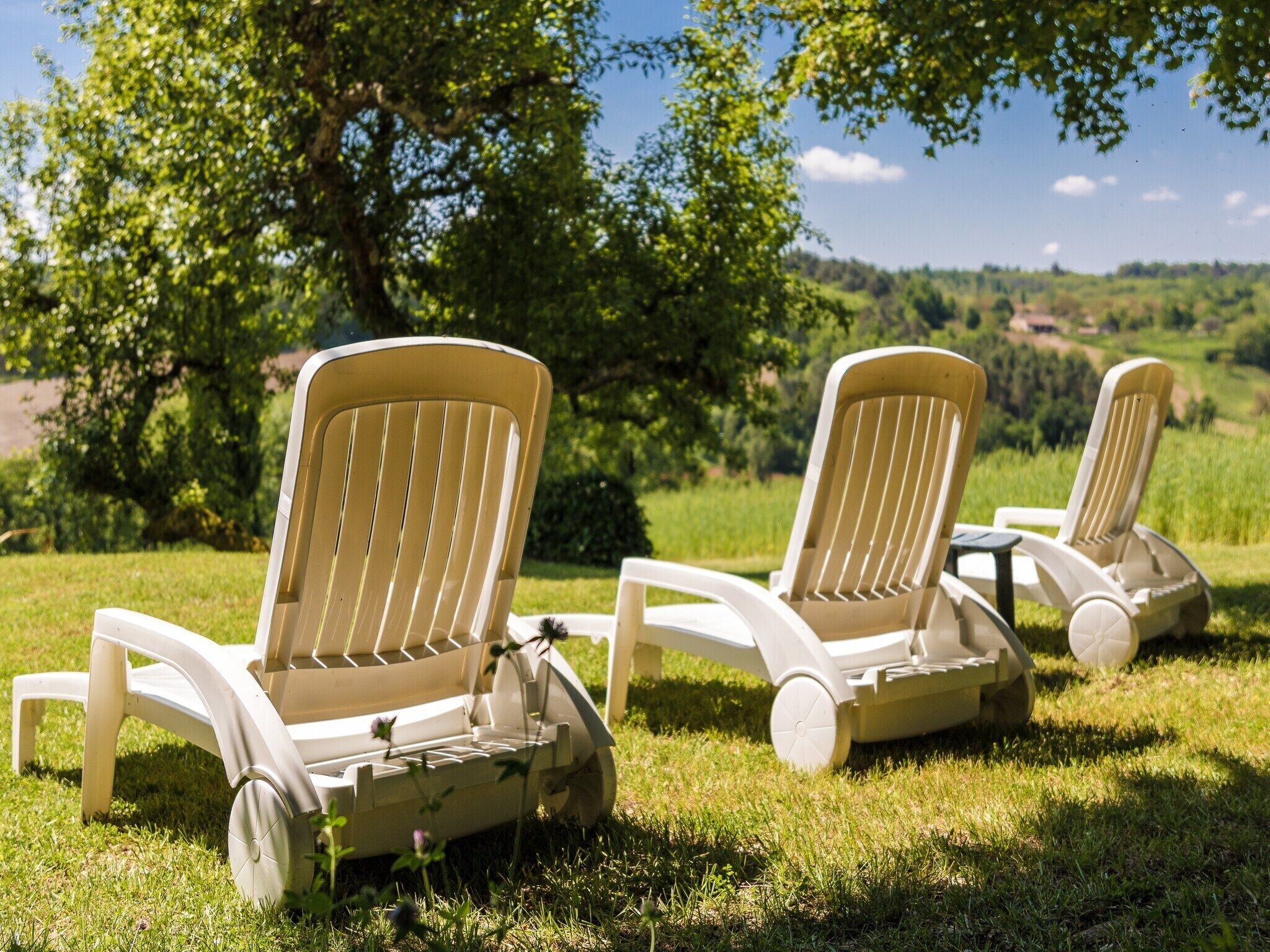 Two outdoor lounge chairs with a view of a grassy field and trees in the background.