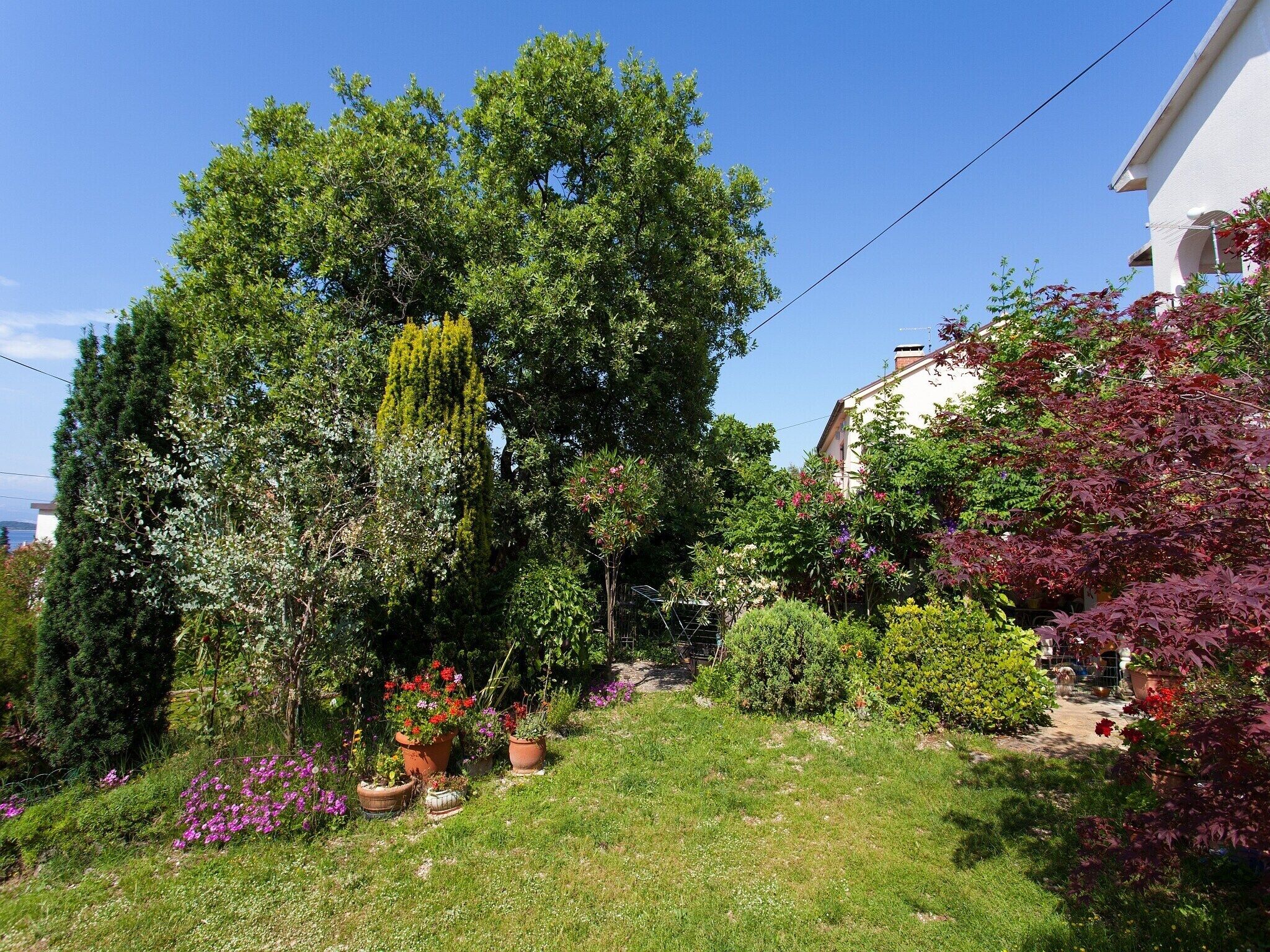 Un jardin bien entretenu, agrémenté de diverses plantes et fleurs, avec une pelouse et un bâtiment blanc en arrière-plan.