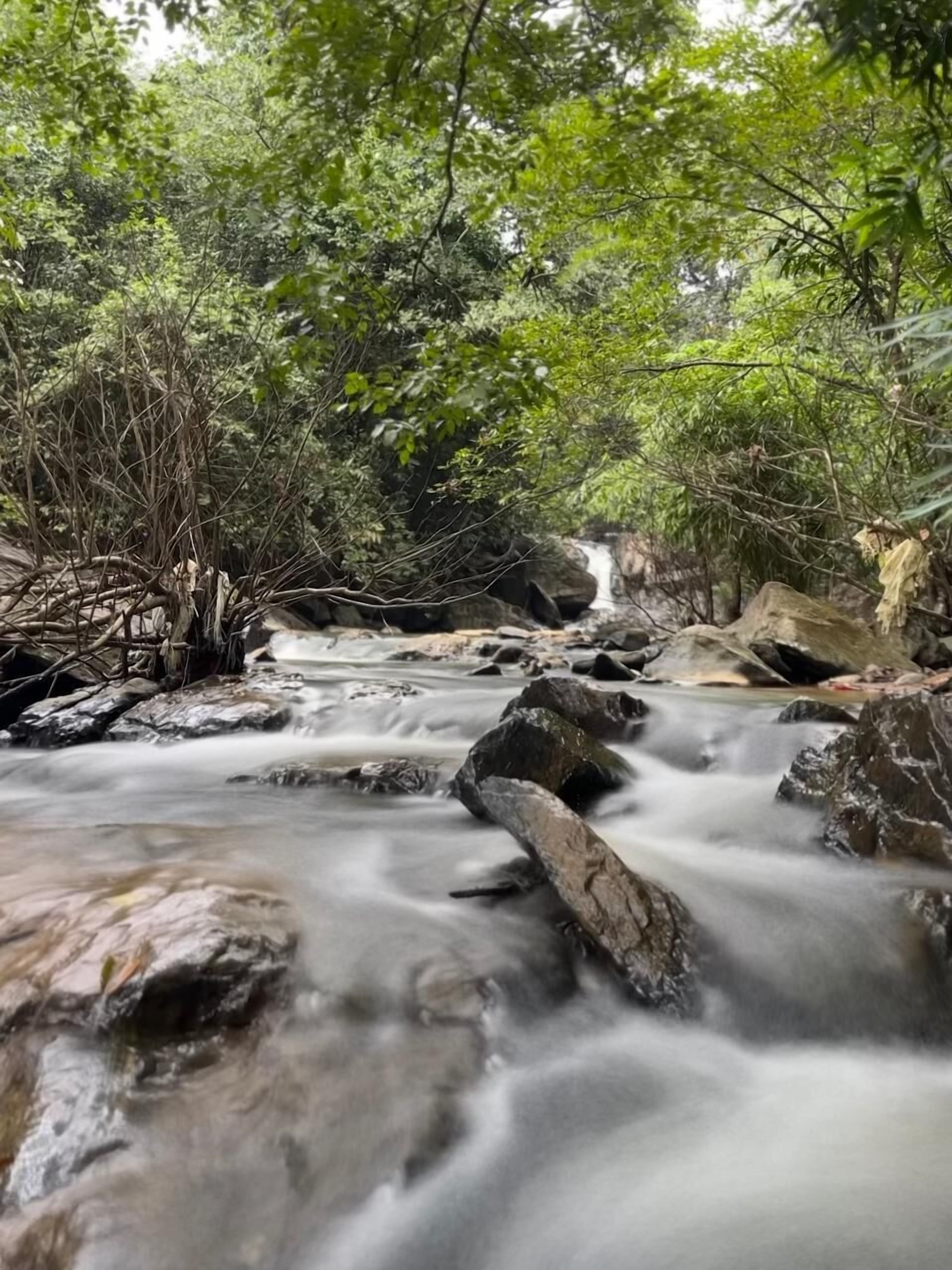 A natural stream flowing through a forested area with rocks and trees.