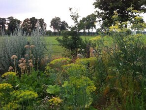 Àrea exterior de l'allotjament