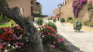 Une cour intérieure avec un arbre, des parterres de fleurs et des bâtiments dotés de balcons.