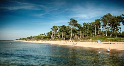 Veluwe Retreat w/ Garden