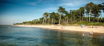 Veluwe Retreat w/ Garden