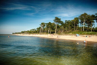 Veluwe Retreat w/ Garden