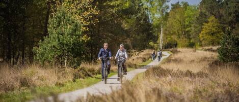Un chemin pavé, aménagé dans un environnement naturel, bordé d’arbres et d’herbe de chaque côté.